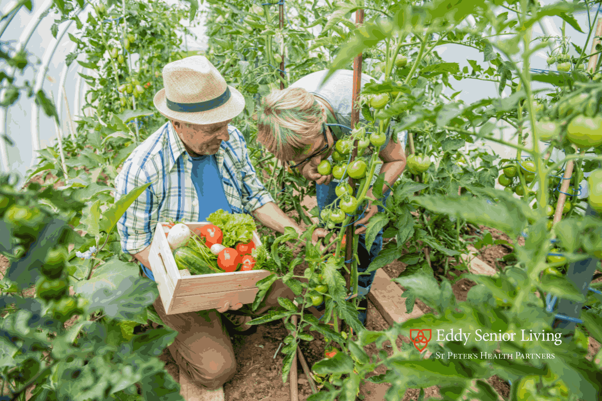 How to Have a Garden in a Senior Living Community