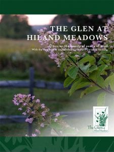 Hiland Meadows Brochure