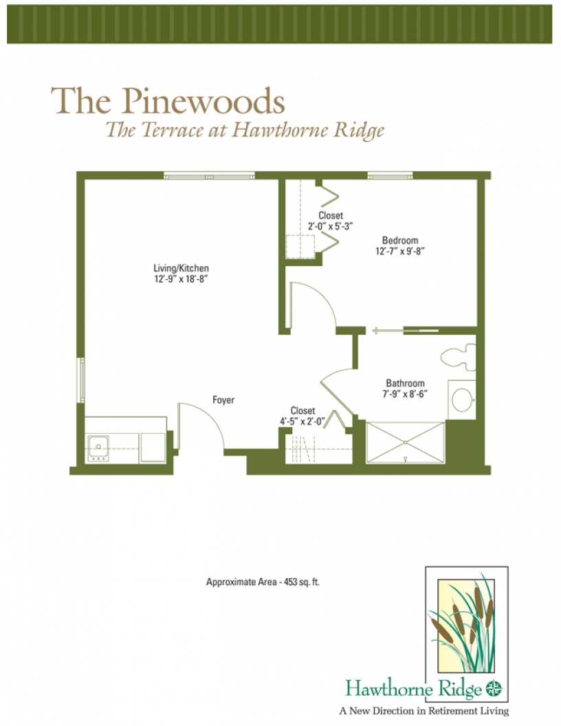 The Pinewoods