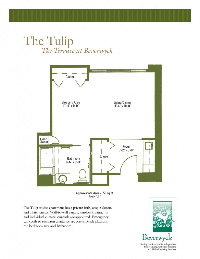 The Tulip