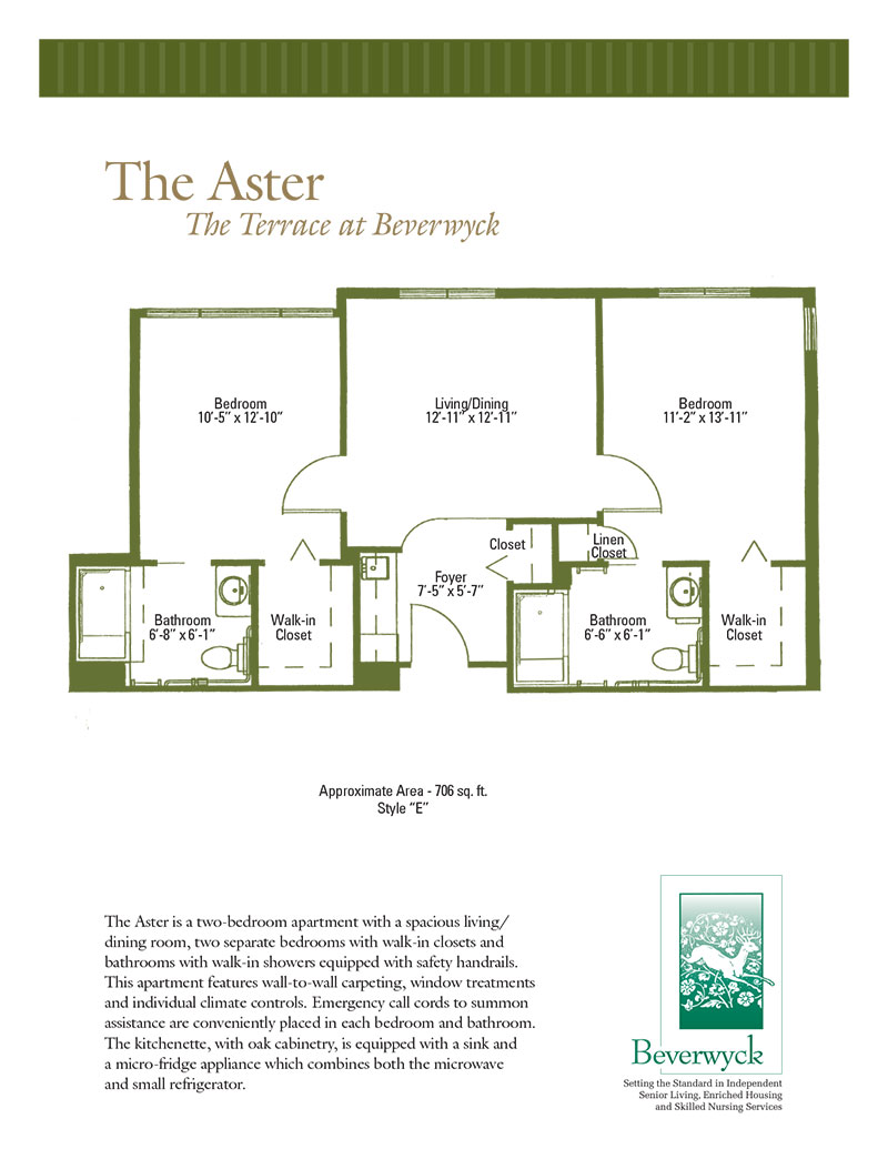 The Aster