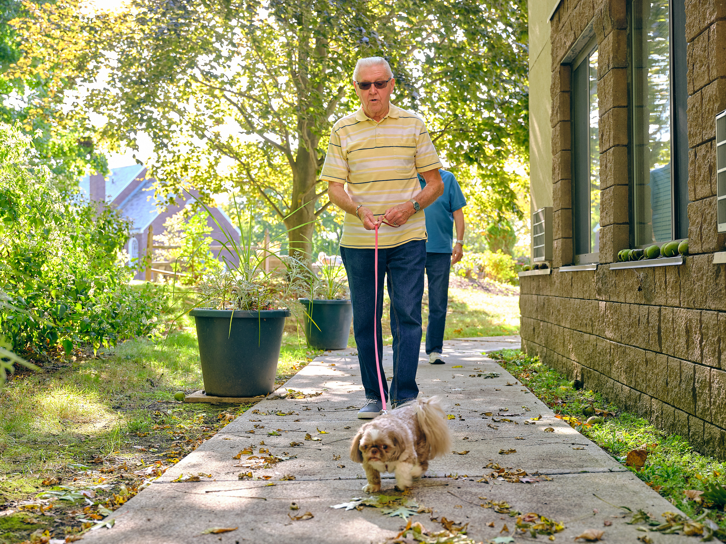 Beechwood residents walking a dog