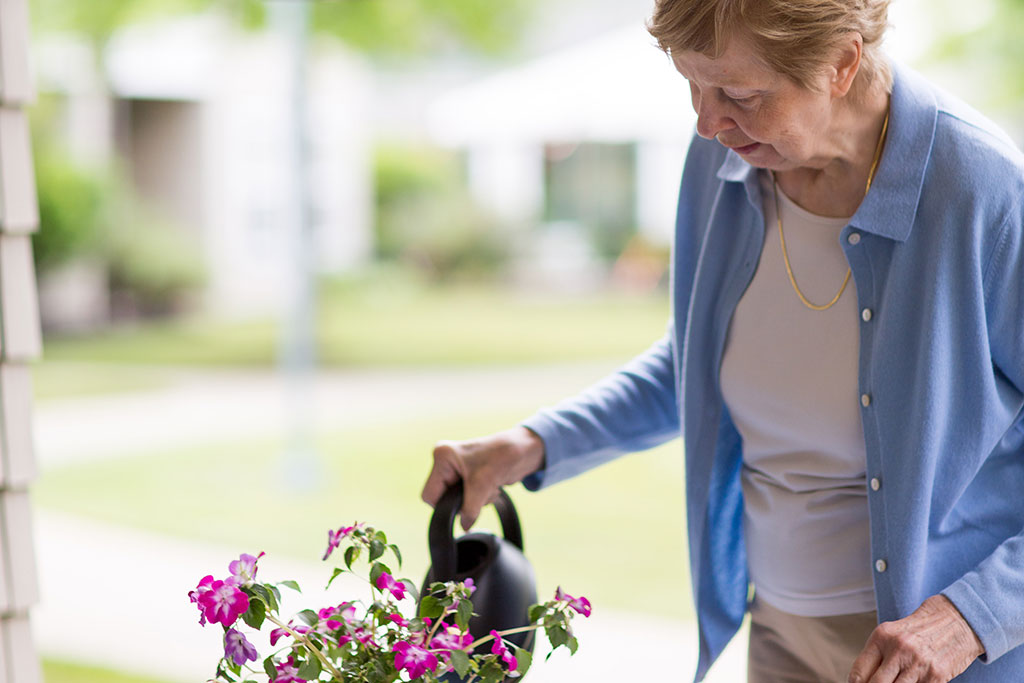 gardening at The Glen Eddy