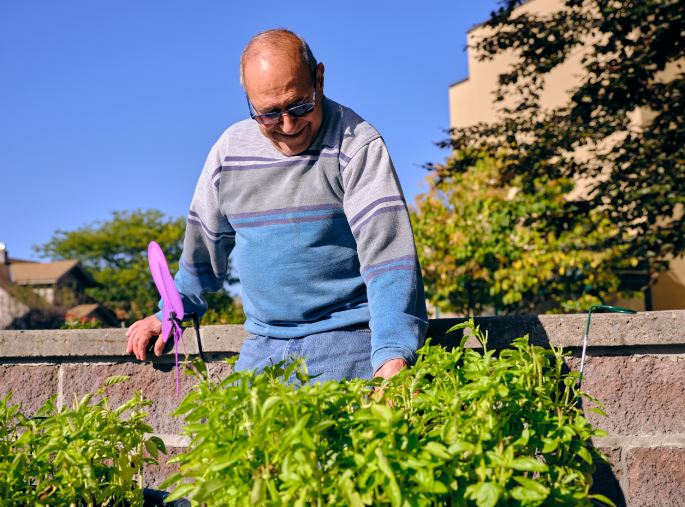 senior man gardening