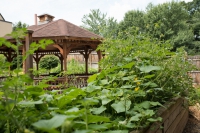 The Terrace at Eddy Memorial gazebo