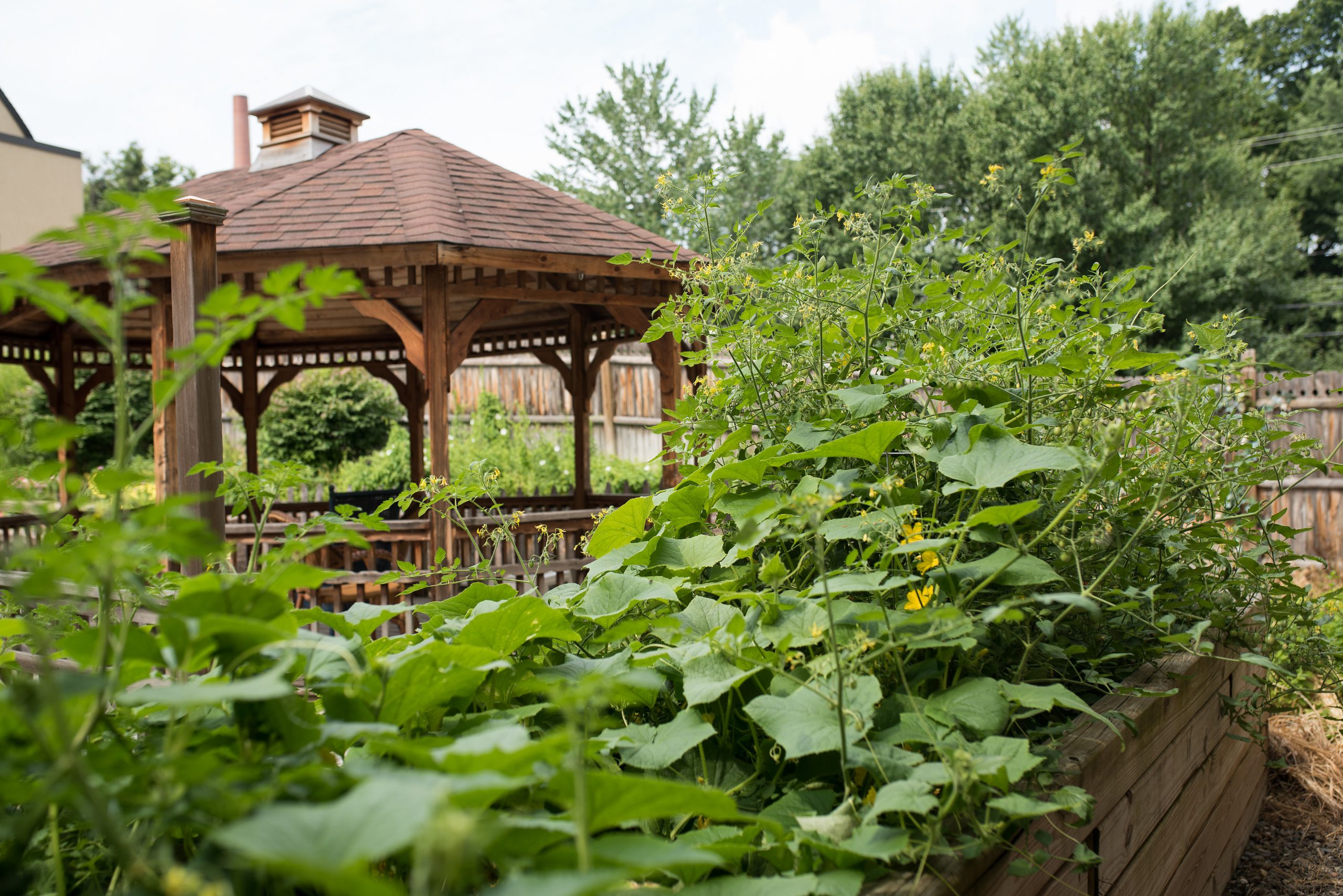 The Terrace at Eddy Memorial gazebo