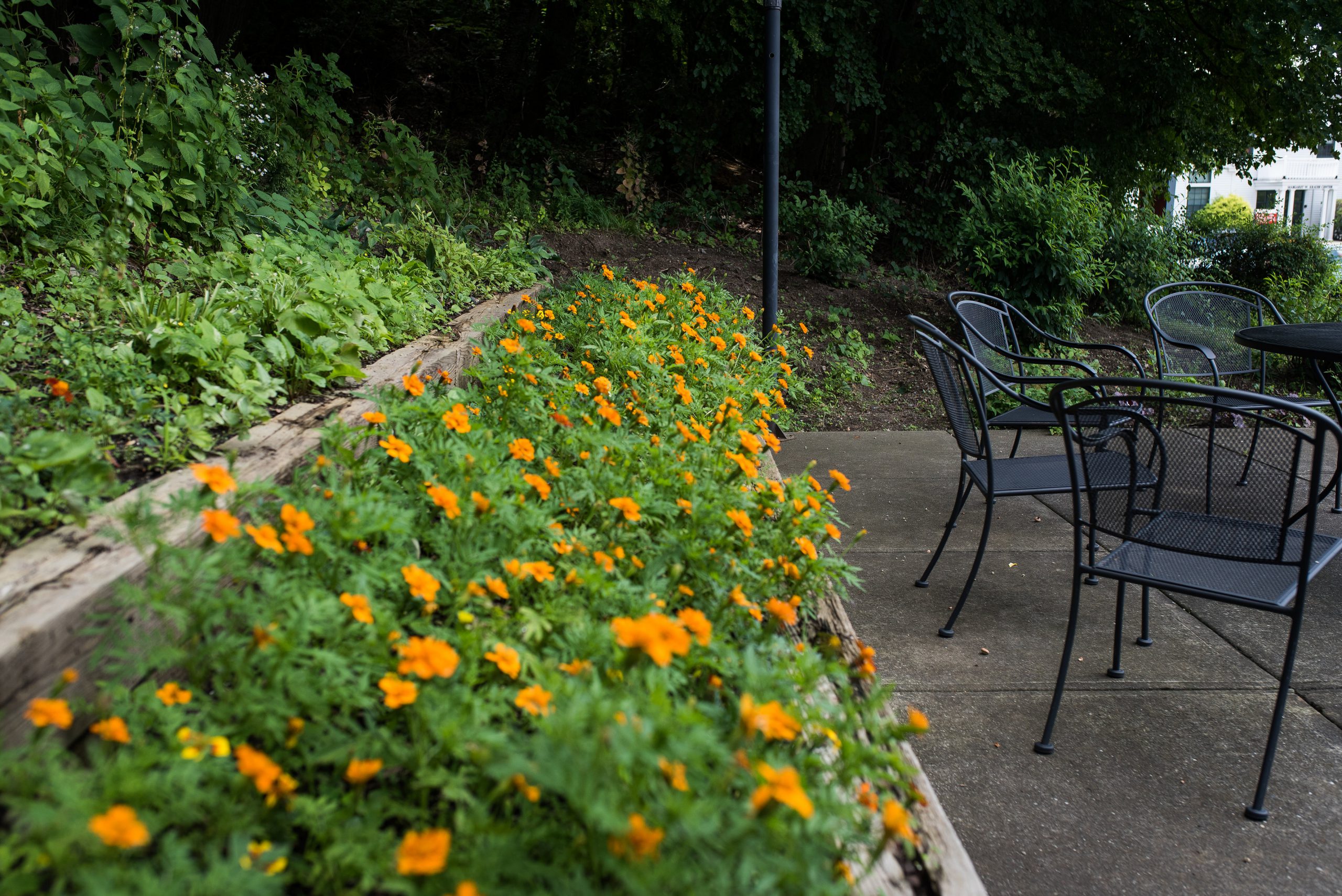 The Terrace at Eddy Memorial garden next to seating