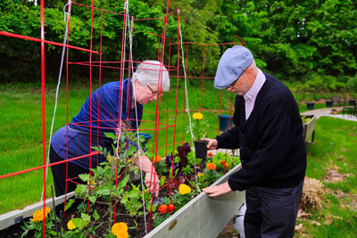 Gardening with spouse