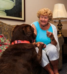 Nancy sitting on a couch shaking Stella's paw