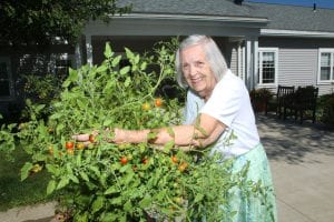 gardening at The Eddy