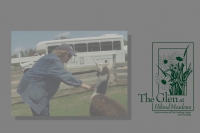 The Glen at Hiland Meadows - Llama Farm Activity