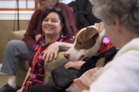 Pet Therapy at Marjorie Doyle Rockwell Center
